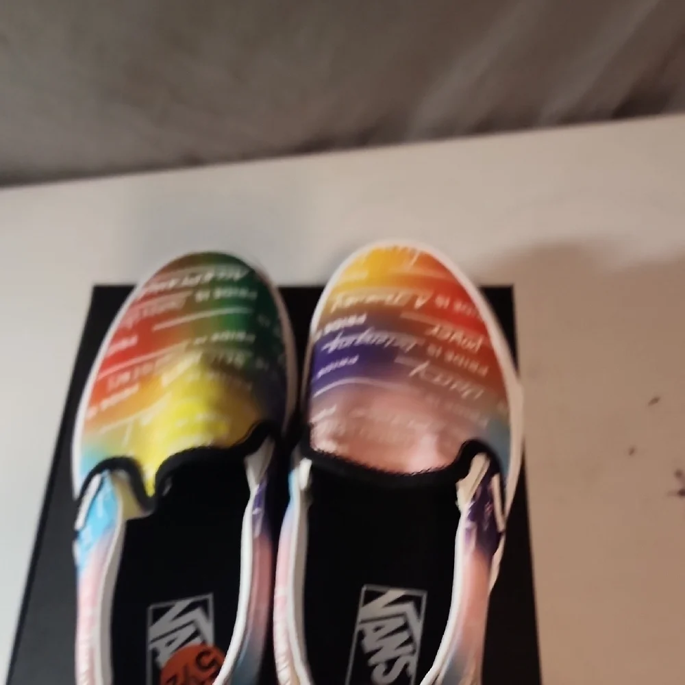 Vans Multicolor Pride Journey Slip-On Shoes